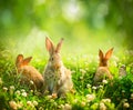 Little Easter Bunnies