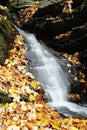 Little Waterfall With Colorful...