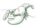 Lobster vector hand drawn illustration of Stock Photo