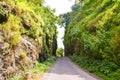 Lonely road through the green hills. Royalty Free Stock Photography