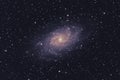 M33 Triangulum Galaxy