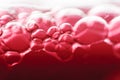 Macro Bubbles