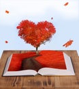 Magic Book