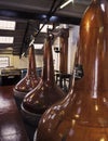 Malt whisky stills