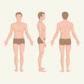 Man body anatomy, front, back and side