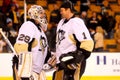 Marc-Andre Fleury and Brent Johnson Peguins (NHL)