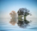 Marvelous Shot Of The Nature