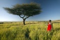 Masai Warrior near Acacia Tree listening to music on iPod by Apple in red surveying landscape of Lewa Conservancy, Kenya Africa