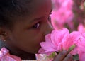 May Flowers