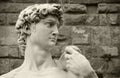 Michelangelo's David, Florence Italy