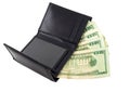 Money In Wallet