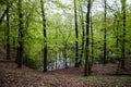 The Morasko Meteorite Nature R...