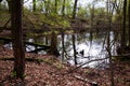The Morasko Meteorite Nature R...