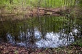 The Morasko Meteorite Nature R...