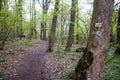 The Morasko Meteorite Nature R...