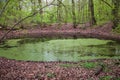 The Morasko Meteorite Nature R...
