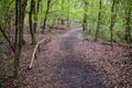 The Morasko Meteorite Nature R...