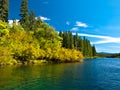 Mountain Lake In Forest