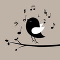 Music Bird