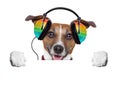 Music Dog
