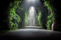 Mysterious Garden