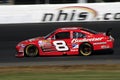 NASCAR - #8 Dale Earnhardt Jr 