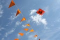 National orange flags with Dutch lion for WC 2014