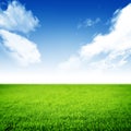 Nature Background