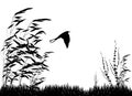 Nature Background