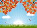 Nature Background