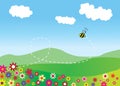 Nature Background