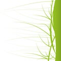 Nature Background