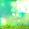 Nature Background With Grass A...