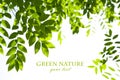Nature Background