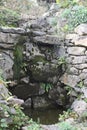 Nature In The Eifel