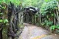 Nature Gate
