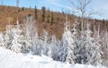 Nature In High Tatras, Slovakia