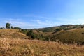 Nature Landscape