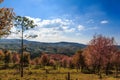 Nature Landscape