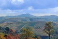 Nature Landscape