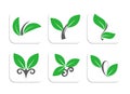 Nature Logos