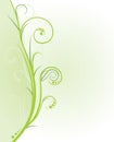 Nature Ornament Card