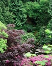 Nature Park And Landscaped Gar...