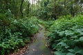 Nature Path