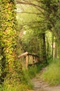 Nature Path With Fence In The ...