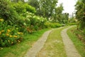 Nature Path With Garden