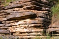 Nature's Architecture