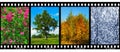 Nature Seasons In Film Frames ...