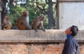 Nepalese guy and family of monkeys