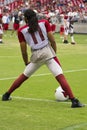 NFL Arizona Cardinals Larry Fitzgerald